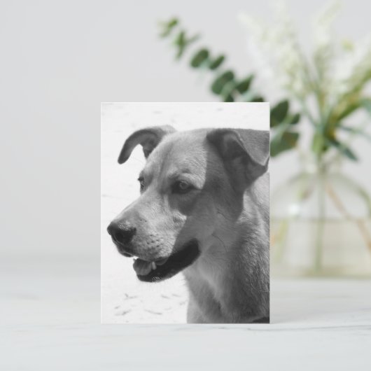 Gilbert Postkarte (Stehend Vorderseite)