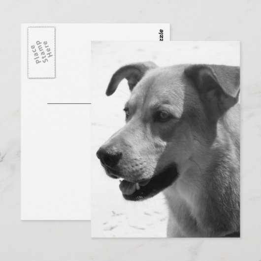 Gilbert Postkarte (Vorne/Hinten)