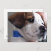 Gilbert Postkarte (Vorne/Hinten)