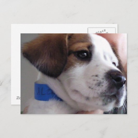 Gilbert Postkarte (Vorne/Hinten)