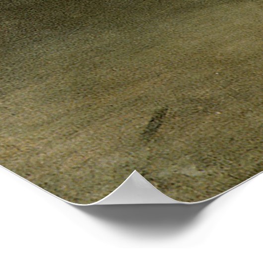 Gilbert Stuart Der Skater William Grant Portrait Poster (Ecke)