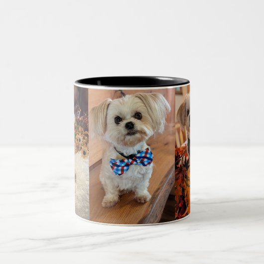 Gilbert Tasse (Mittel)