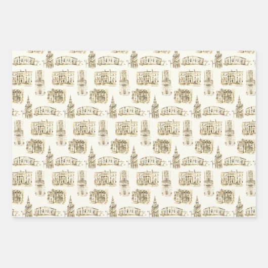 Gilded Age Architecture Buffalo NY Pen & Ink Wrapp Geschenkpapier Set (Vorderseite)