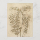 Gilded Foliage Postkarte (Vorderseite)