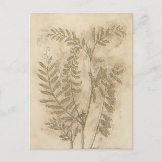 Gilded Foliage Postkarte (Vorderseite)