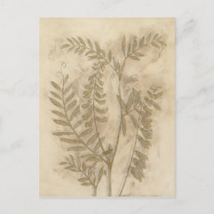 Gilded Foliage Postkarte