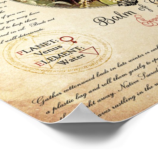 GILEAD-BALM POSTER (Ecke)