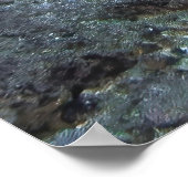 Gili Green Turtle Poster (Ecke)