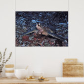 Gili Green Turtle Poster (Küche)