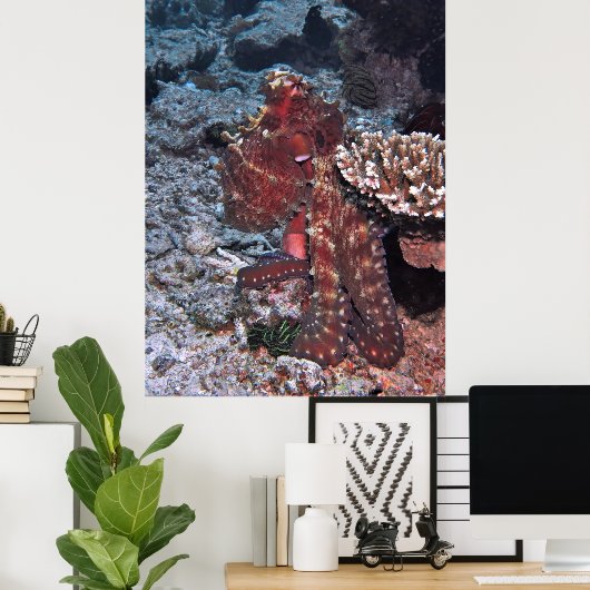 Gili Octopus Portrait Poster (Heimbüro)