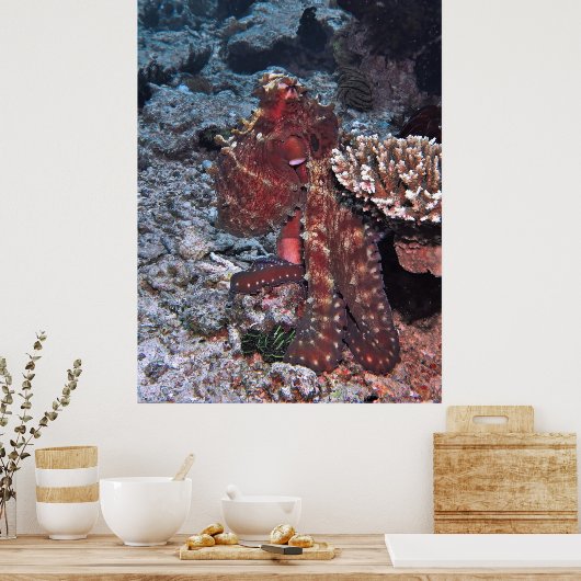 Gili Octopus Portrait Poster (Küche)