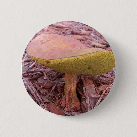 Gill Bolete Mushroom Button (Vorderseite)
