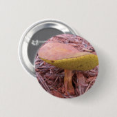 Gill Bolete Mushroom Button (Vorne & Hinten)