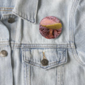 Gill Bolete Mushroom Button (Beispiel)
