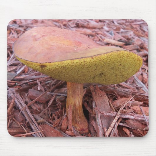 Gill Bolete Mushroom Mousepad (Vorne)