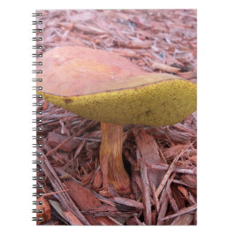 Gill Bolete Mushroom Notizblock