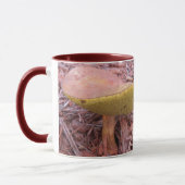 Gill Bolete Mushroom Tasse (Links)