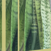 Gilligan Island Wallpaper | m3galleryStudio Tapete (Naht)