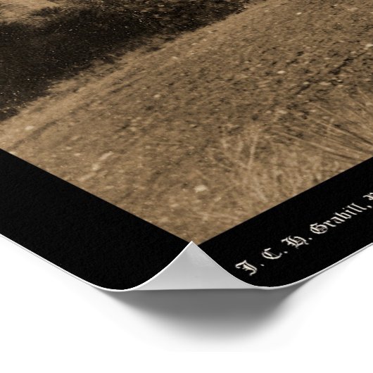 Gillispie Hotels & Minnekahta Hot Springs SD 1891 Poster (Ecke)