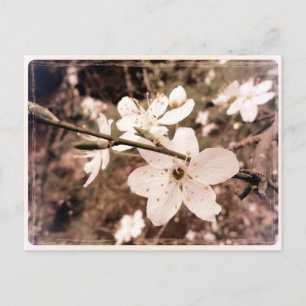 "Gilroy, California" Postcard von DarkPoet Postkarte