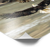 Gimme den Fisch. (Eagle Chase) Fotodruck (Ecke)