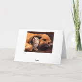 Gimme Shelter. Karte (Rückseite)