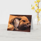 Gimme Shelter. Karte (Gelbe Blume)