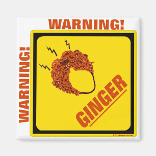 Ginger Alert! Magnet