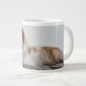 Ginger and White Kitten Jumbo-Tasse (Vorderseite Rechts)