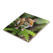 Ginger Australian Hopping Mouse, Fliese (Seite)