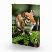 Ginger Australian Hopping Mouse, Foto Block (Rechts)