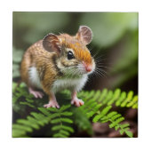 Ginger Australian Hopping Mouse, Keramik Tile Fliese (Vorderseite)