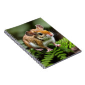 Ginger Australian Hopping Mouse, Notebook Notizblock (Rechte Seite)