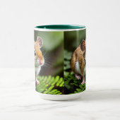 Ginger Australian Hopping Mouse, Tasse (Zentrum)