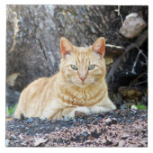 Ginger Boy Fliese (Vorderseite)