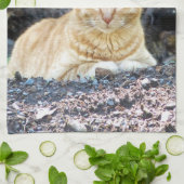 Ginger Boy Geschirrtuch (Gefaltet)