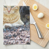 Ginger Boy Geschirrtuch (Viertel Falte)