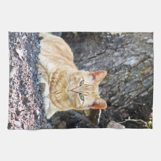 Ginger Boy Geschirrtuch (Horizontal)