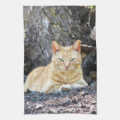 Ginger Boy Geschirrtuch (Vertikal)