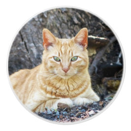 Ginger Boy Keramikknauf