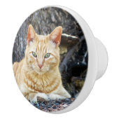 Ginger Boy Keramikknauf (Rechts)