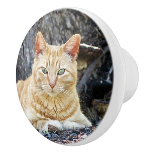 Ginger Boy Keramikknauf (Rechts)