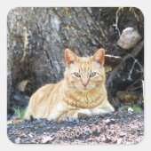 Ginger Boy Quadratischer Aufkleber (Vorderseite)