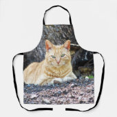 Ginger Boy Schürze (Vorderseite)