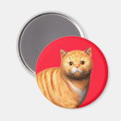 Ginger Cat 3 Magnet (Vorderseite/Rückseite)