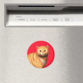 Ginger Cat 3 Magnet (In Situ (Geschirrspüler))