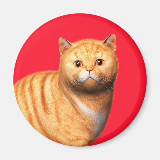 Ginger Cat 3 Magnet (Vorne)