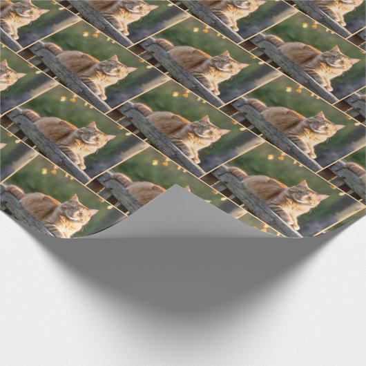 Ginger Cat auf einem rustikalen Zaun Geschenkpapier (Ecke)