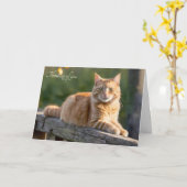 Ginger Cat auf einem rustikalen Zaun Karte (Gelbe Blume)