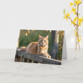 Ginger Cat auf einem rustikalen Zaun Karte (Gelbe Blume)